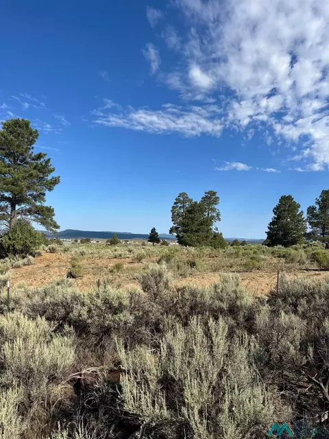 0 Hwy 573, Ensenada, NM 87575
