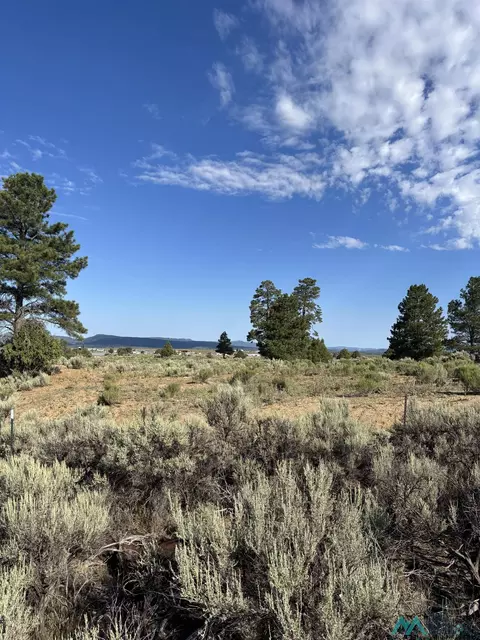 tbd Hwy 573, Ensendada, NM 87575