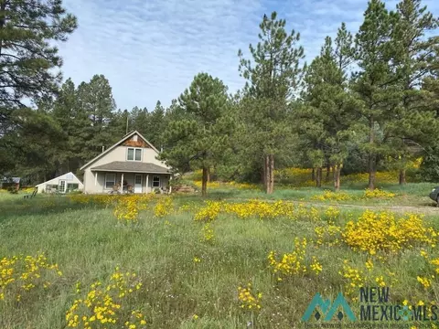 150 Forrest Service Road 124 Rd, Cebolla, NM 87518