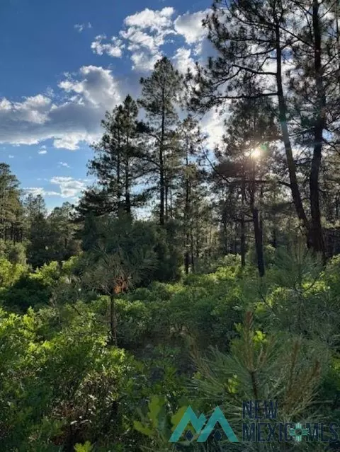 tbd Eagles 2a Rd, Chama, NM 87520