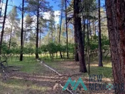 Waterline Road, Chama, NM 87520
