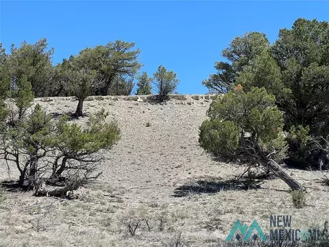 tbd Buena Vista Dr, Tierra Amarilla, NM 87575