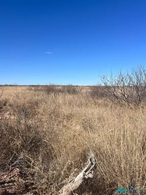 Spokane, Lake Arthur, NM 88253
