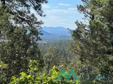 tbd Log Ridge Trail Trl, Chama, NM 87520