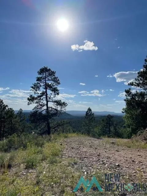 tbd Ticonderoga Drive Dr, Chama, NM 87520