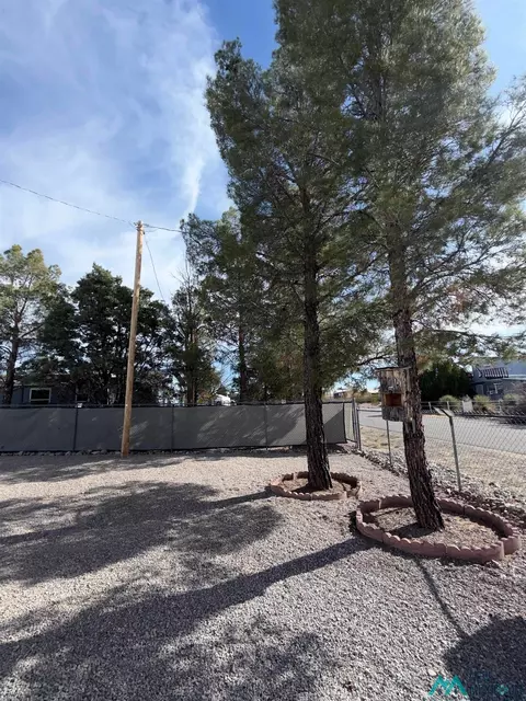 303 Calle Del Corte St, Elephant Butte, NM 87935 photo 19