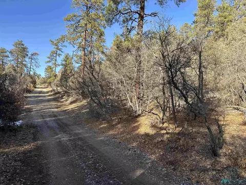 tbd Private Drive 1781, Chama, NM 87520