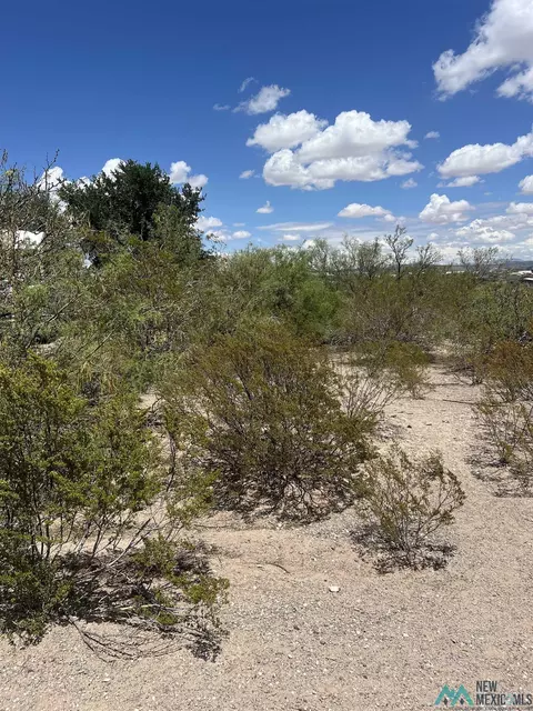 207 Olympic St, Elephant Butte, NM 87935