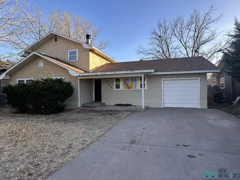 221 New Mexico Dr, Portales, NM 88130