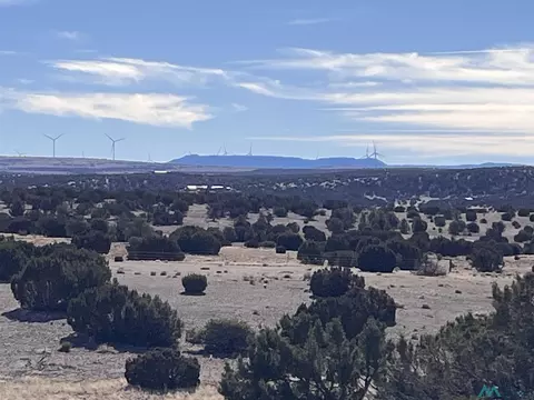 lot166 Deer Cir, Quemado, NM 87829