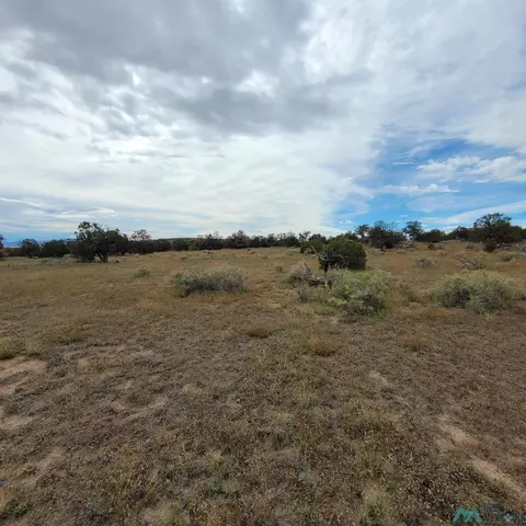 15 Elk Ct, Datil, NM 87821 photo 10