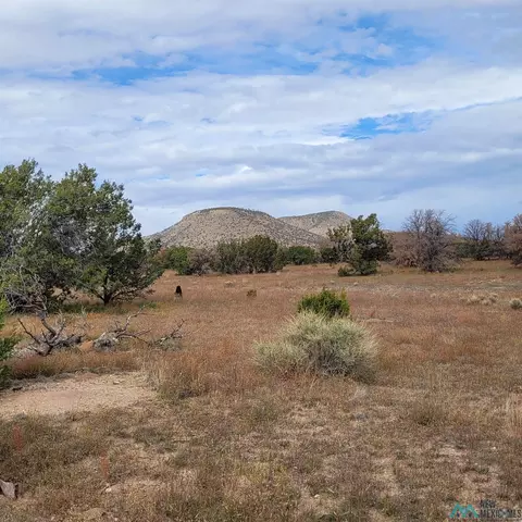 15 Elk Ct, Datil, NM 87821 photo 5