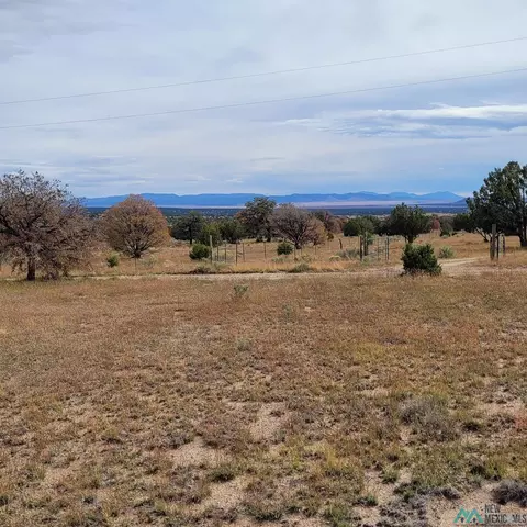 15 Elk Ct, Datil, NM 87821 photo 4