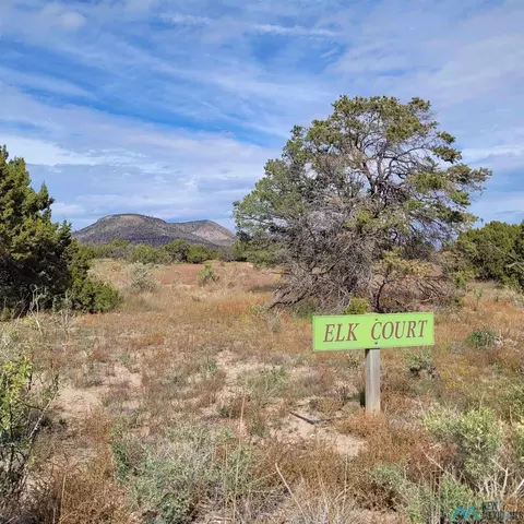 15 Elk Ct, Datil, NM 87821 photo 2