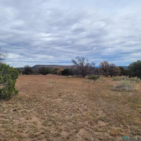 15 Elk Ct, Datil, NM 87821 photo 17