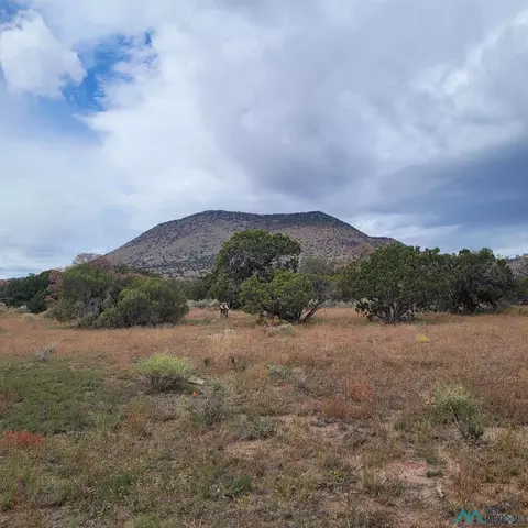 15 Elk Ct, Datil, NM 87821
