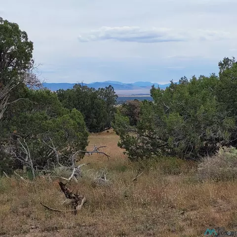 15 Elk Ct, Datil, NM 87821 photo 14