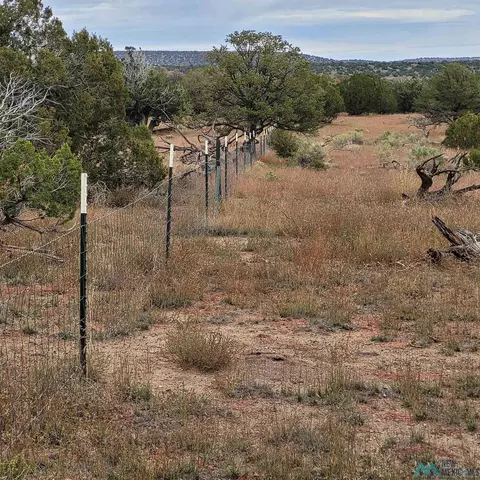 15 Elk Ct, Datil, NM 87821 photo 13