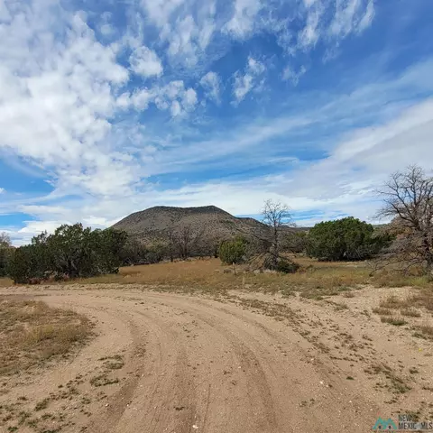 15 Elk Ct, Datil, NM 87821 photo 9