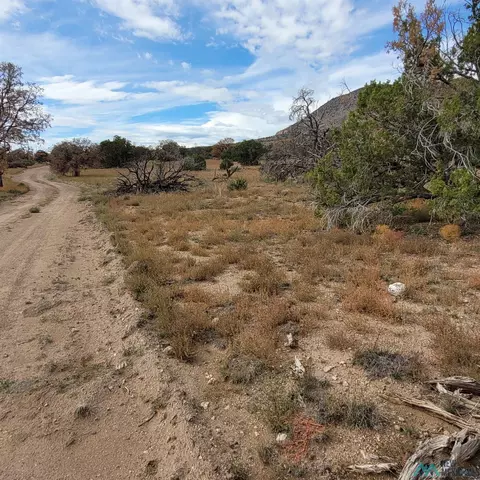 15 Elk Ct, Datil, NM 87821 photo 7