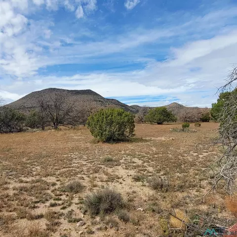 15 Elk Ct, Datil, NM 87821 photo 8