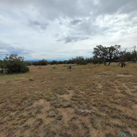 15 Elk Ct, Datil, NM 87821 photo 11