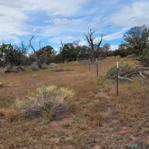 15 Elk Ct, Datil, NM 87821 photo 15