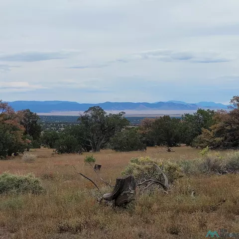 15 Elk Ct, Datil, NM 87821 photo 12