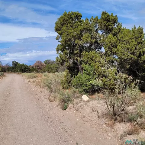 15 Elk Ct, Datil, NM 87821 photo 3