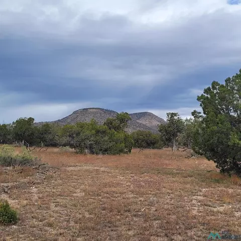 15 Elk Ct, Datil, NM 87821 photo 16