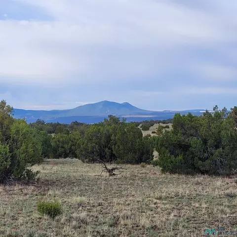 Indian Springs, Quemado, NM 87829