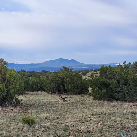 Nn Indian Springs Road, Quemado, NM 87829
