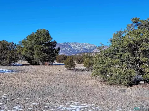 1 Jackass Ln, Datil, NM 87821 photo 40