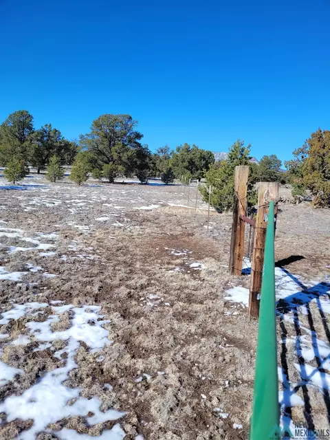 1 Jackass, Datil, NM 87821 photo 34