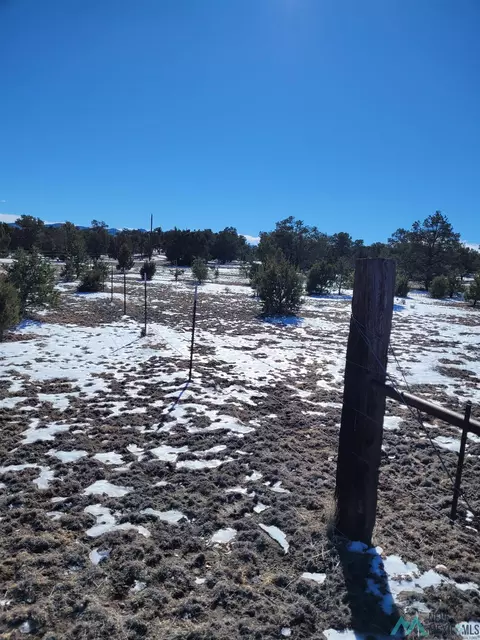 1 Jackass Ln, Datil, NM 87821 photo 32
