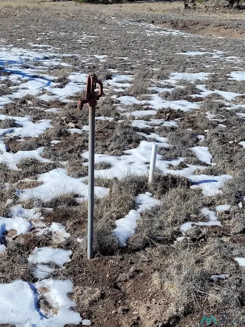 1 Jackass Ln, Datil, NM 87821 photo 18
