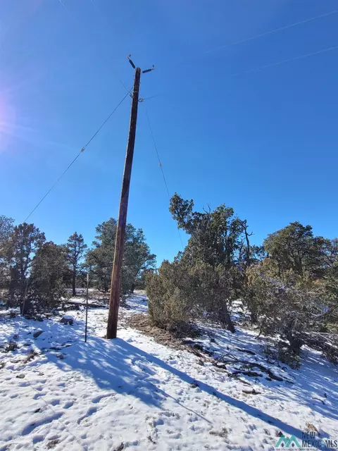 1 Jackass Ln, Datil, NM 87821 photo 8