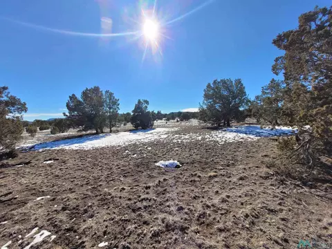 1 Jackass, Datil, NM 87821 photo 37