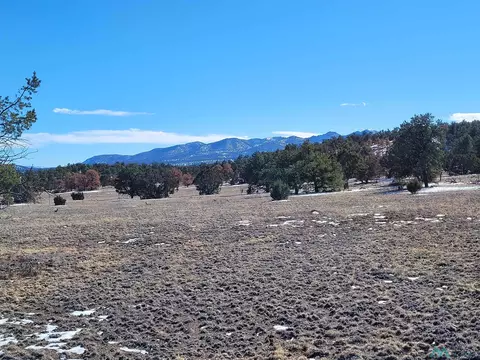 1 Jackass Ln, Datil, NM 87821 photo 14