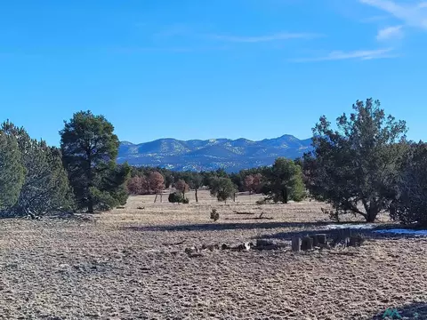 1 Jackass, Datil, NM 87821 photo 26