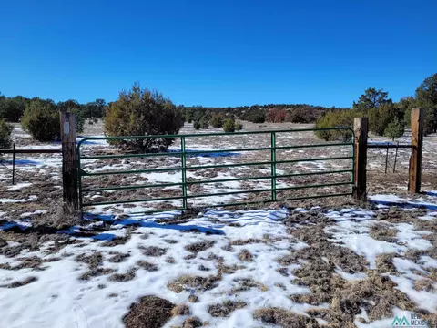 1 Jackass Ln, Datil, NM 87821 photo 2