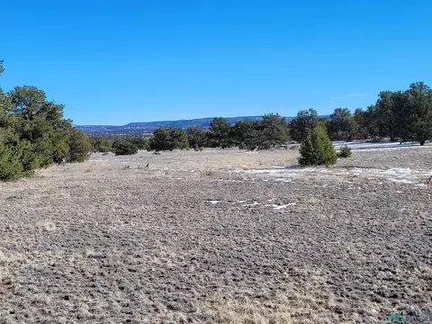 1 Jackass Ln, Datil, NM 87821 photo 28