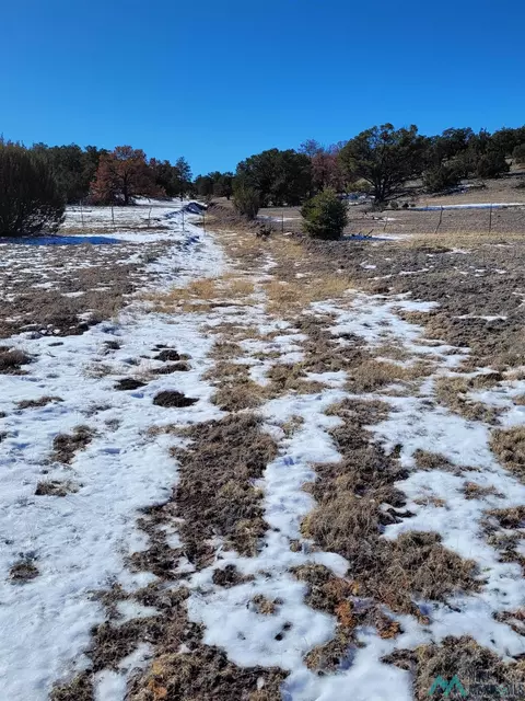 1 Jackass Ln, Datil, NM 87821 photo 31