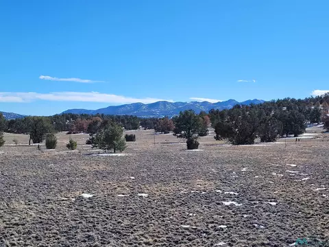 1 Jackass Ln, Datil, NM 87821 photo 15
