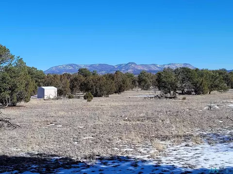 1 Jackass Ln, Datil, NM 87821 photo 21