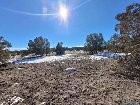 1 Jackass Ln, Datil, NM 87821 photo 36