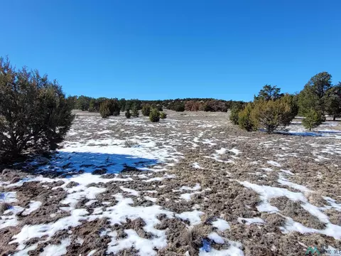 1 Jackass Ln, Datil, NM 87821 photo 34