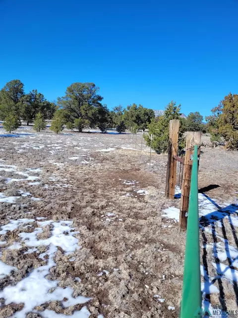 1 Jackass Ln, Datil, NM 87821 photo 33