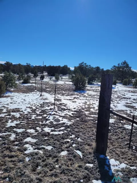 1 Jackass, Datil, NM 87821 photo 33
