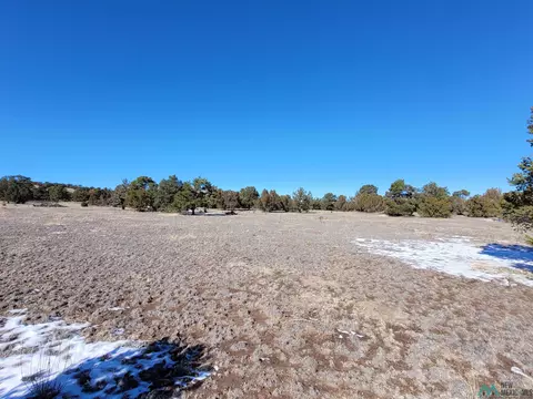 1 Jackass Ln, Datil, NM 87821 photo 5